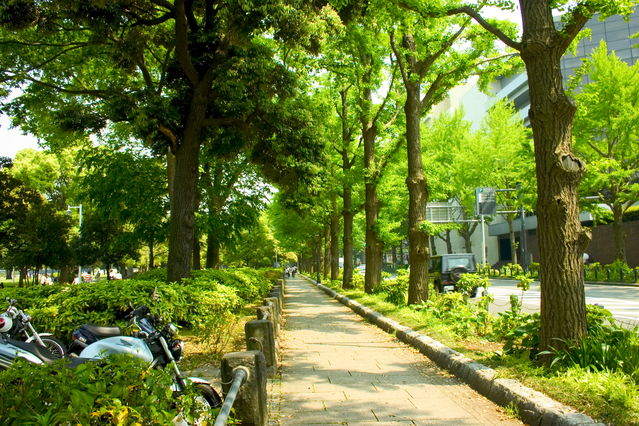 yokohama-view